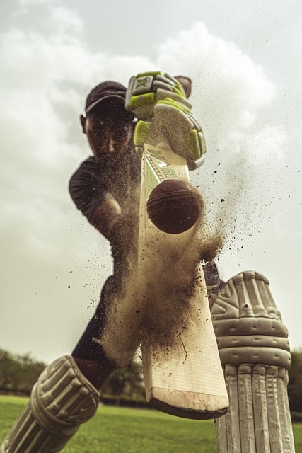 Climate Action in Cricket: Mitigating the Sport’s Carbon Footprint