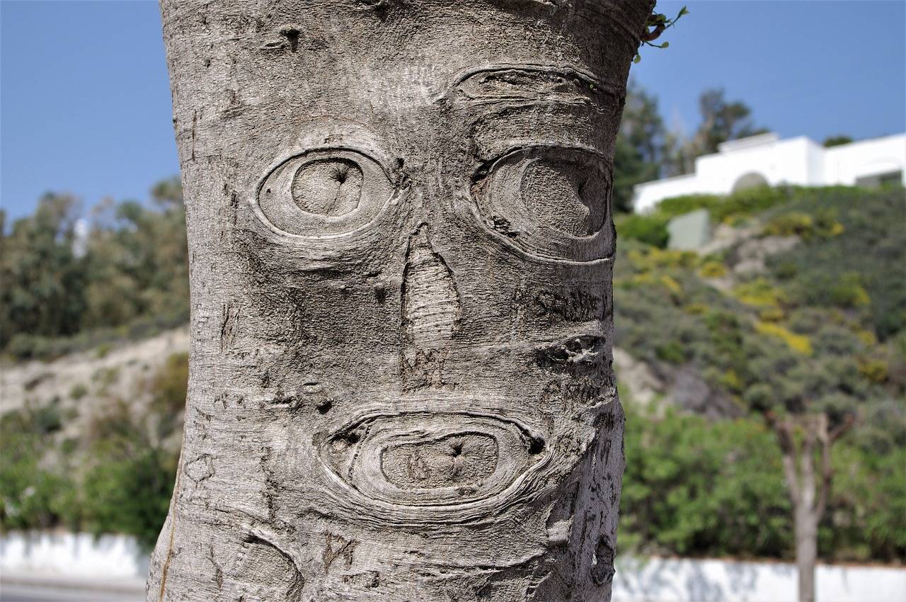 Silver Exchange: How Silverexch Online Is Transforming the Global Silver Market